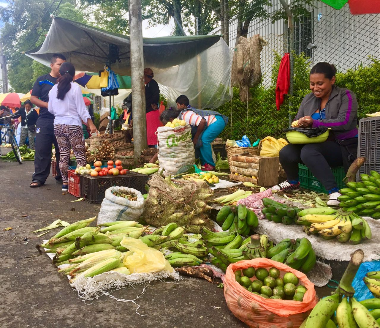Mercado Campesino