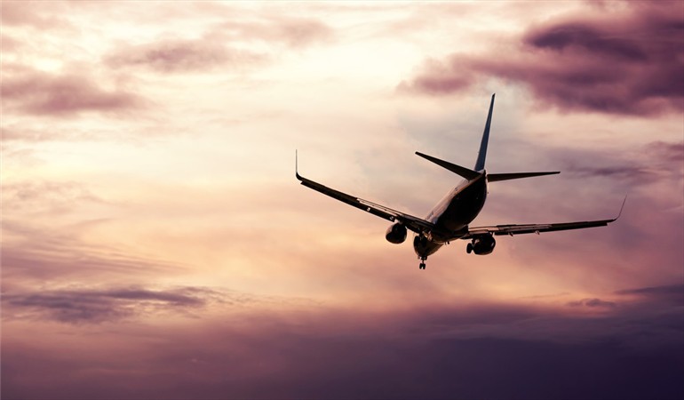 Vuelo