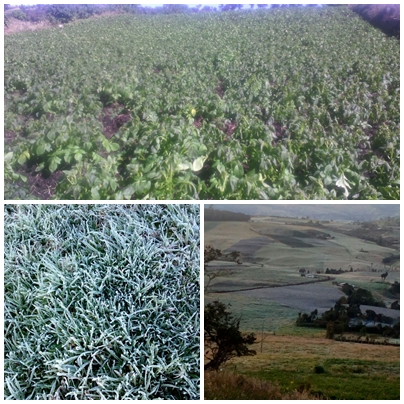 Heladas