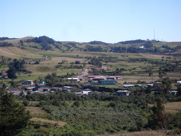 Paletara