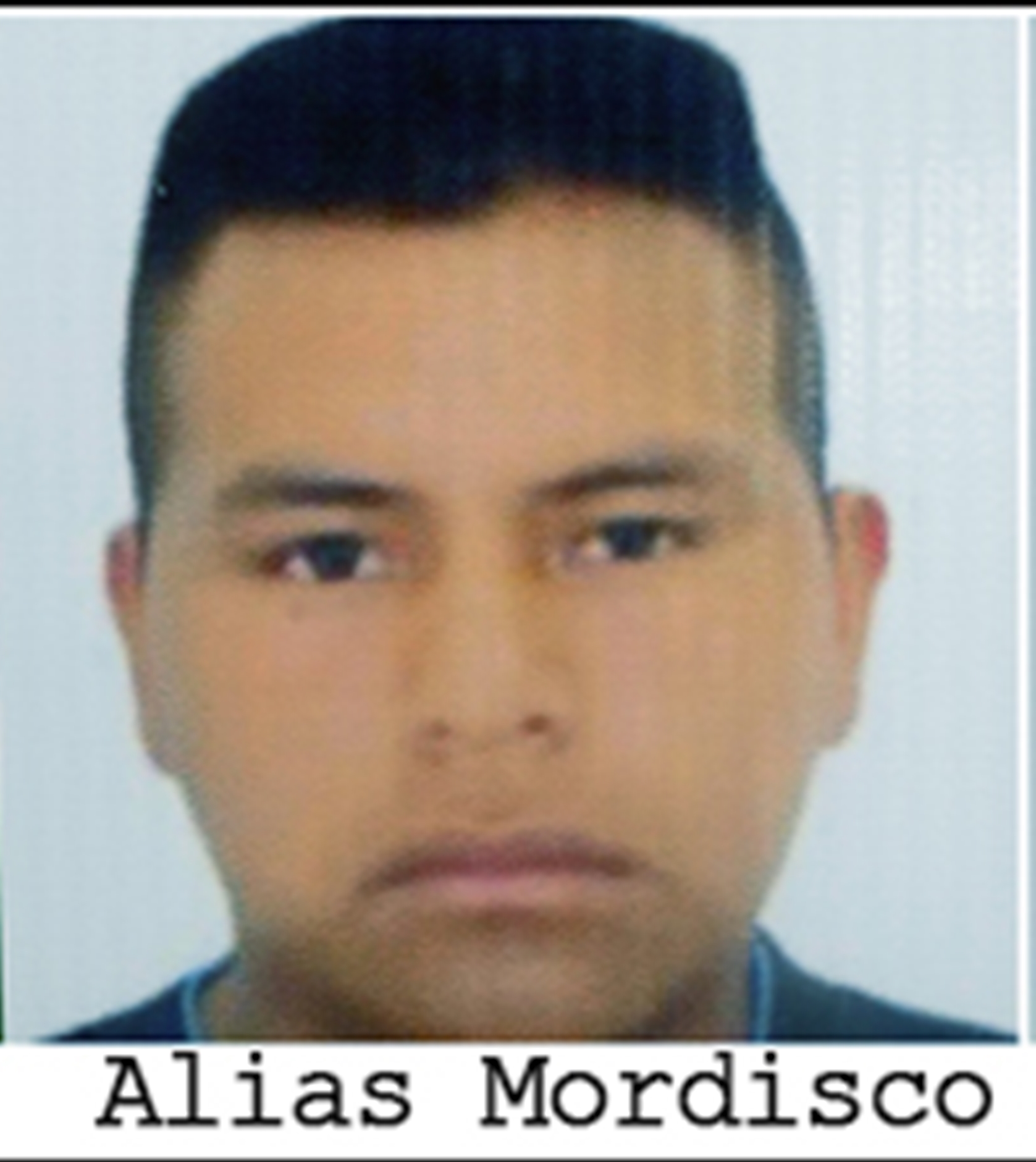 Alias Mordisco