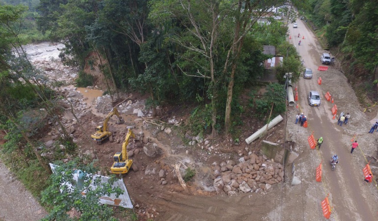 Bosque salvo barrio