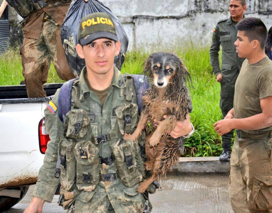 Policia la rescato