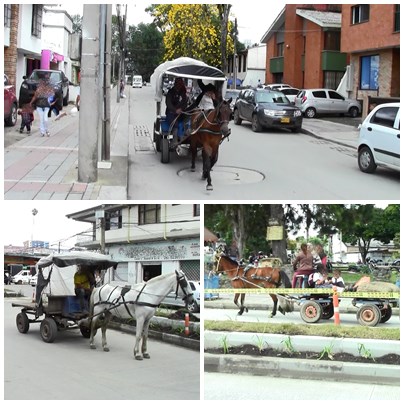 Carretillas Caballos