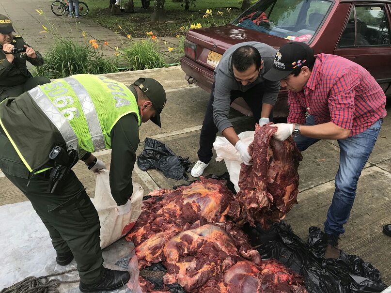 Carne de Caballo
