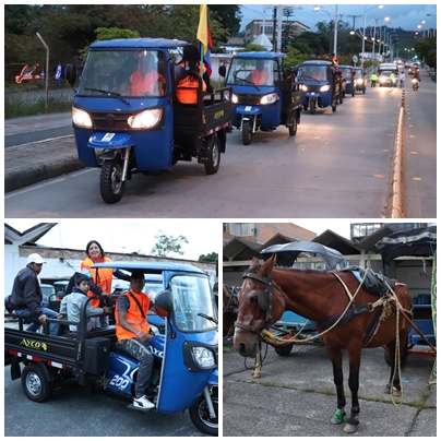 Carretillas Caballos