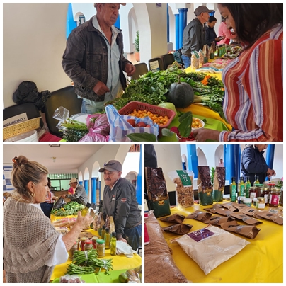 Mercado Organico 04
