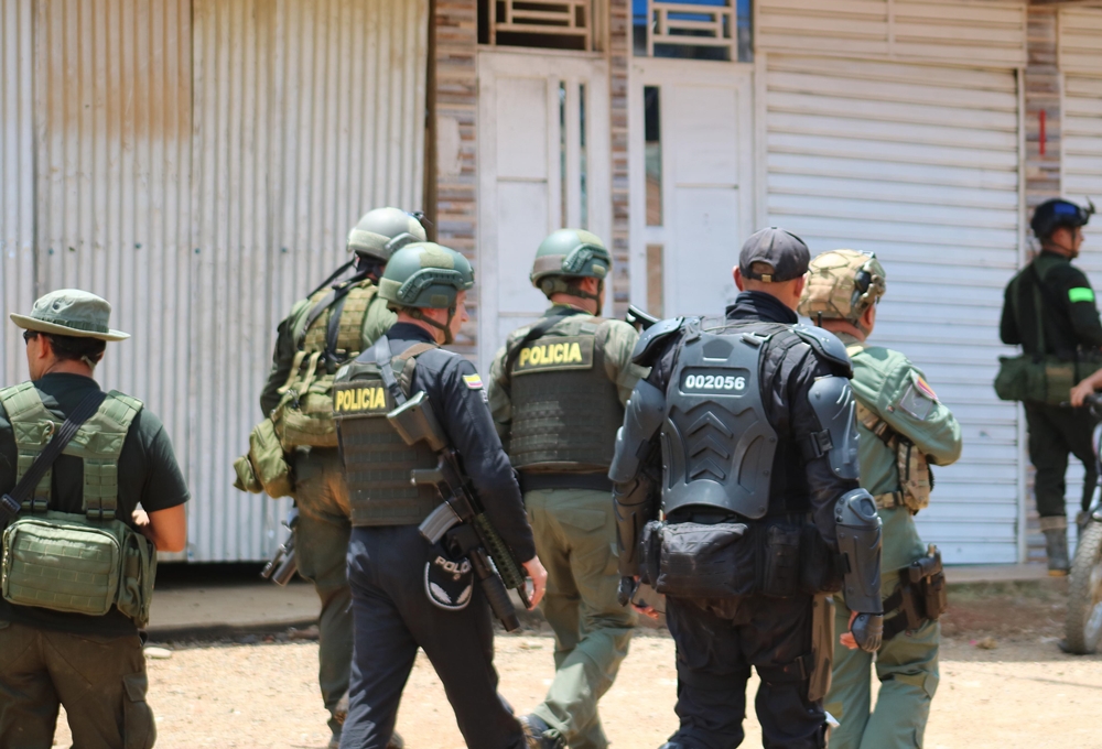 Plateado Policia Nacional